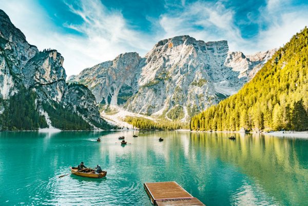 Niova Travel Tours